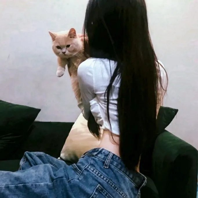 计中计状元财