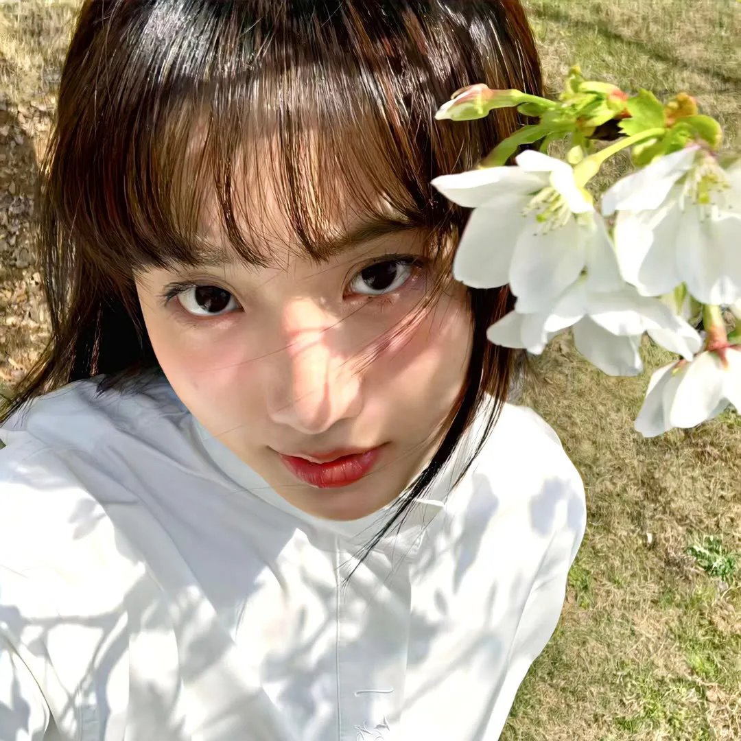 最后的狮子